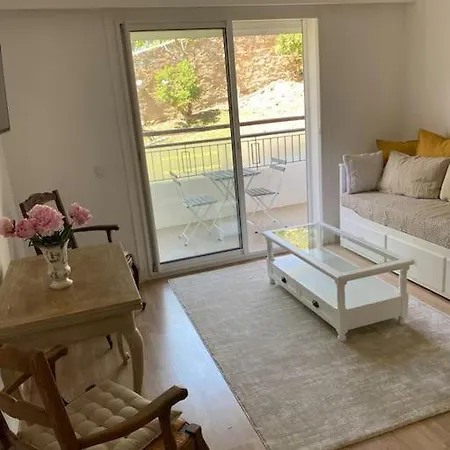 Joli Calme Et Appartement Cannes